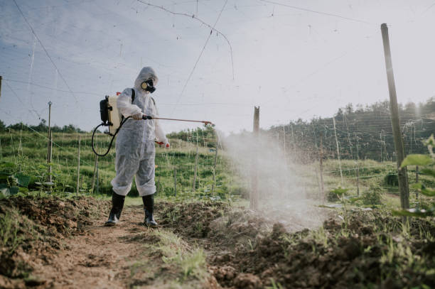 Best Best Pest Control Companies  in Trinity, NC