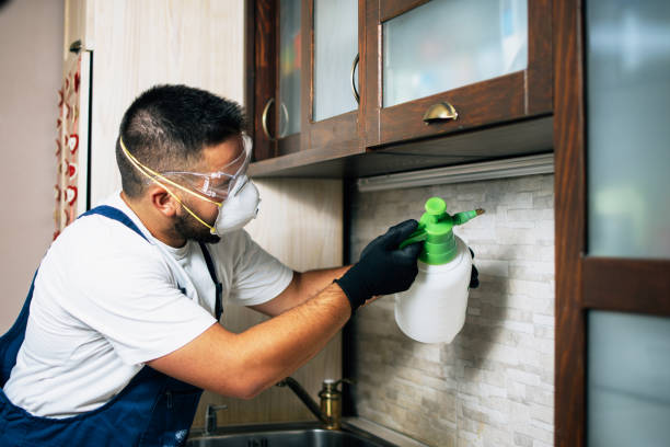 Trusted Trinity, NC Pest Control Experts