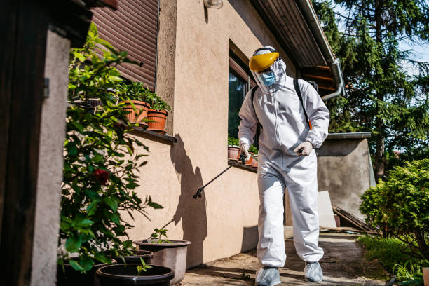 Best Pest Control Near Me  in Trinity, NC