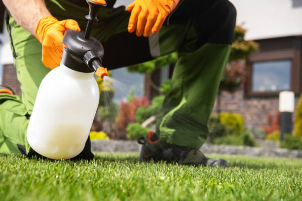 Best Flea Control Services  in Trinity, NC