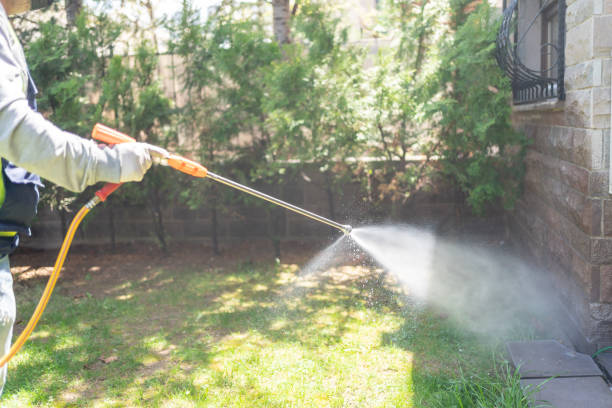 Best Residential Pest Control  in Trinity, NC