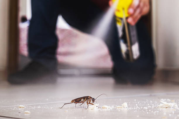 Best Pest Prevention Services  in Trinity, NC